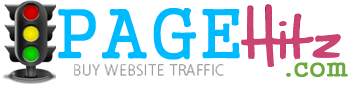 Buy Website Traffic | Targeted Website Traffic | Buy Website Visitors | PAGEHitz.com